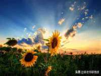 山西海晟源商贸有限公司