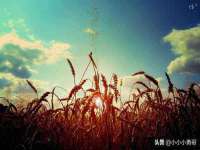 山西海晟源商贸有限公司