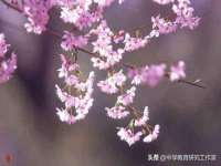 山西海晟源商贸有限公司
