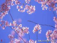 山西海晟源商贸有限公司
