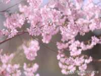 山西海晟源商贸有限公司
