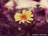 山西海晟源商贸有限公司