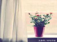 山西海晟源商贸有限公司