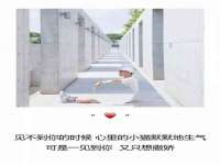 山西海晟源商贸有限公司