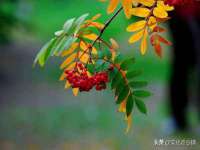 山西海晟源商贸有限公司