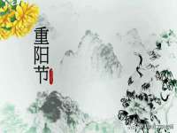 山西海晟源商贸有限公司