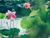 山西海晟源商贸有限公司