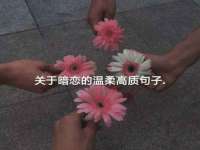 山西海晟源商贸有限公司