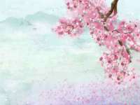 山西海晟源商贸有限公司