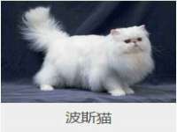 山西海晟源商贸有限公司