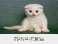 山西海晟源商贸有限公司