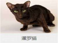 山西海晟源商贸有限公司