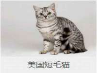 山西海晟源商贸有限公司
