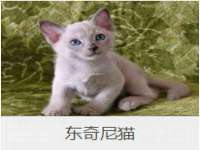 山西海晟源商贸有限公司