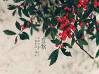 山西海晟源商贸有限公司