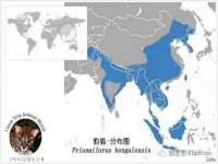 山西海晟源商贸有限公司