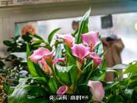 山西海晟源商贸有限公司