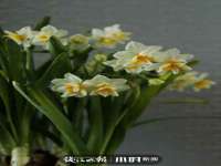 山西海晟源商贸有限公司