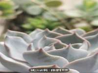 山西海晟源商贸有限公司
