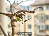 山西海晟源商贸有限公司