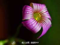 山西海晟源商贸有限公司