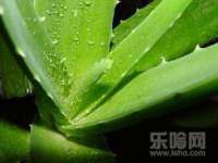 山西海晟源商贸有限公司