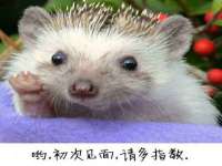 山西海晟源商贸有限公司