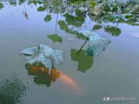 山西海晟源商贸有限公司