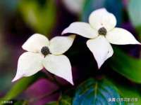 山西海晟源商贸有限公司