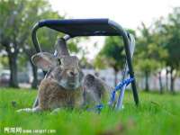 山西海晟源商贸有限公司