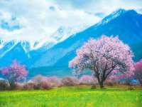 山西海晟源商贸有限公司