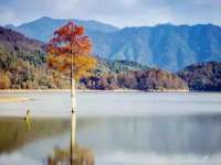 山西海晟源商贸有限公司