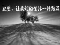 山西海晟源商贸有限公司
