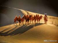 山西海晟源商贸有限公司