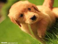 山西海晟源商贸有限公司