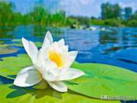 山西海晟源商贸有限公司
