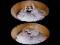 山西海晟源商贸有限公司