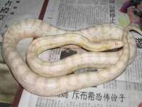山西海晟源商贸有限公司