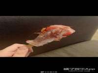 山西海晟源商贸有限公司